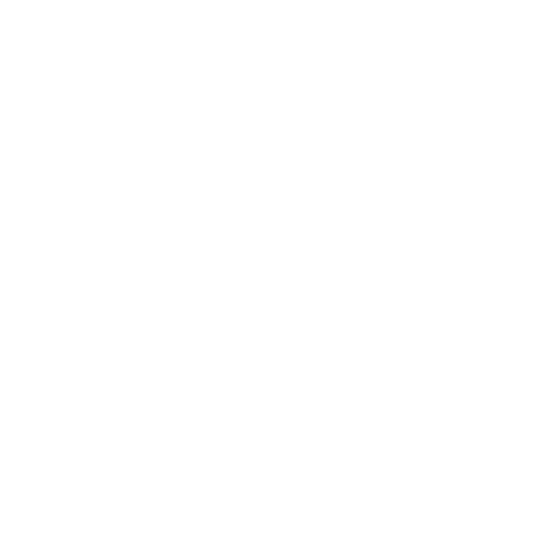 Nike Inc logo