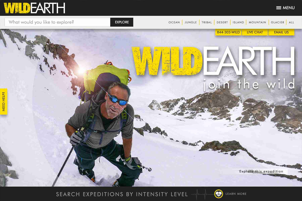 Your Website: The Enchanted Gateway to Your Business Wonderland, Crafted by Unicus Marketing